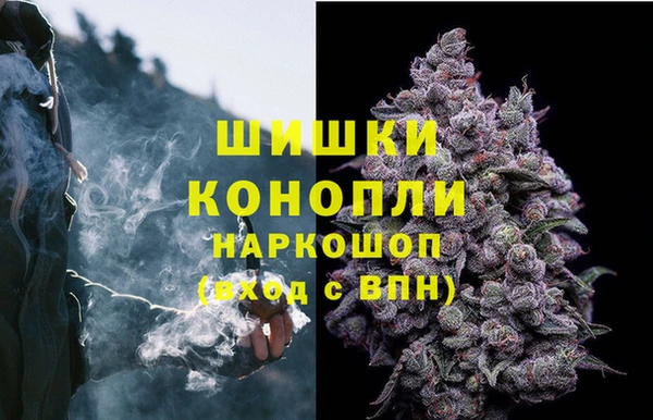 ешки Заводоуковск