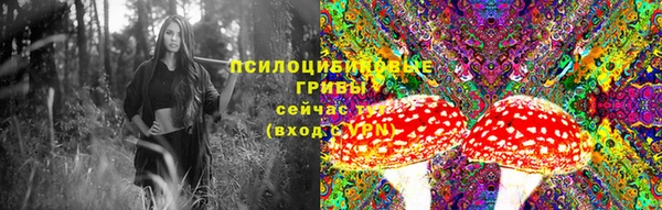 ешки Заводоуковск