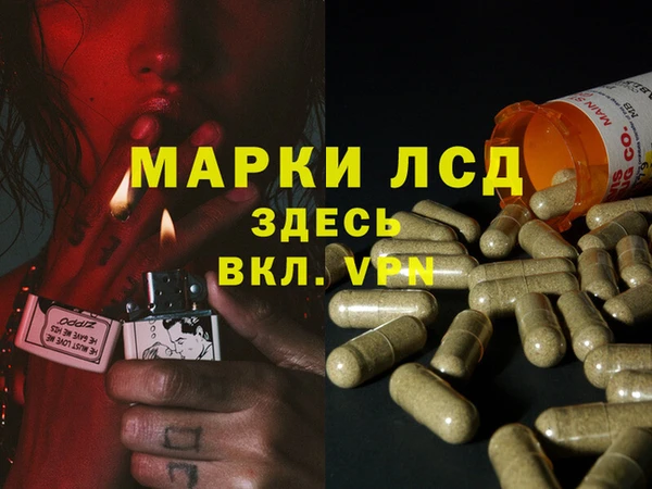 ешки Заводоуковск
