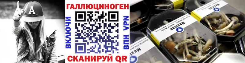 Купить закладки  Истра  Псилоцибиновые грибы мухоморы 