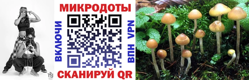 Галлюциногенные грибы прущие грибы Истра